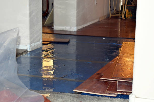Professional Water Extraction technician working in Ludington, MI